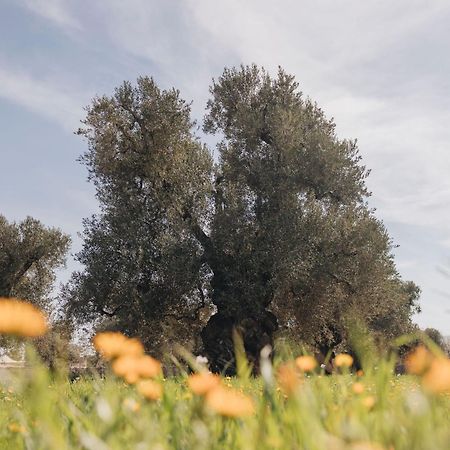 Masseria San Lorenzo Resort ファザーノ エクステリア 写真