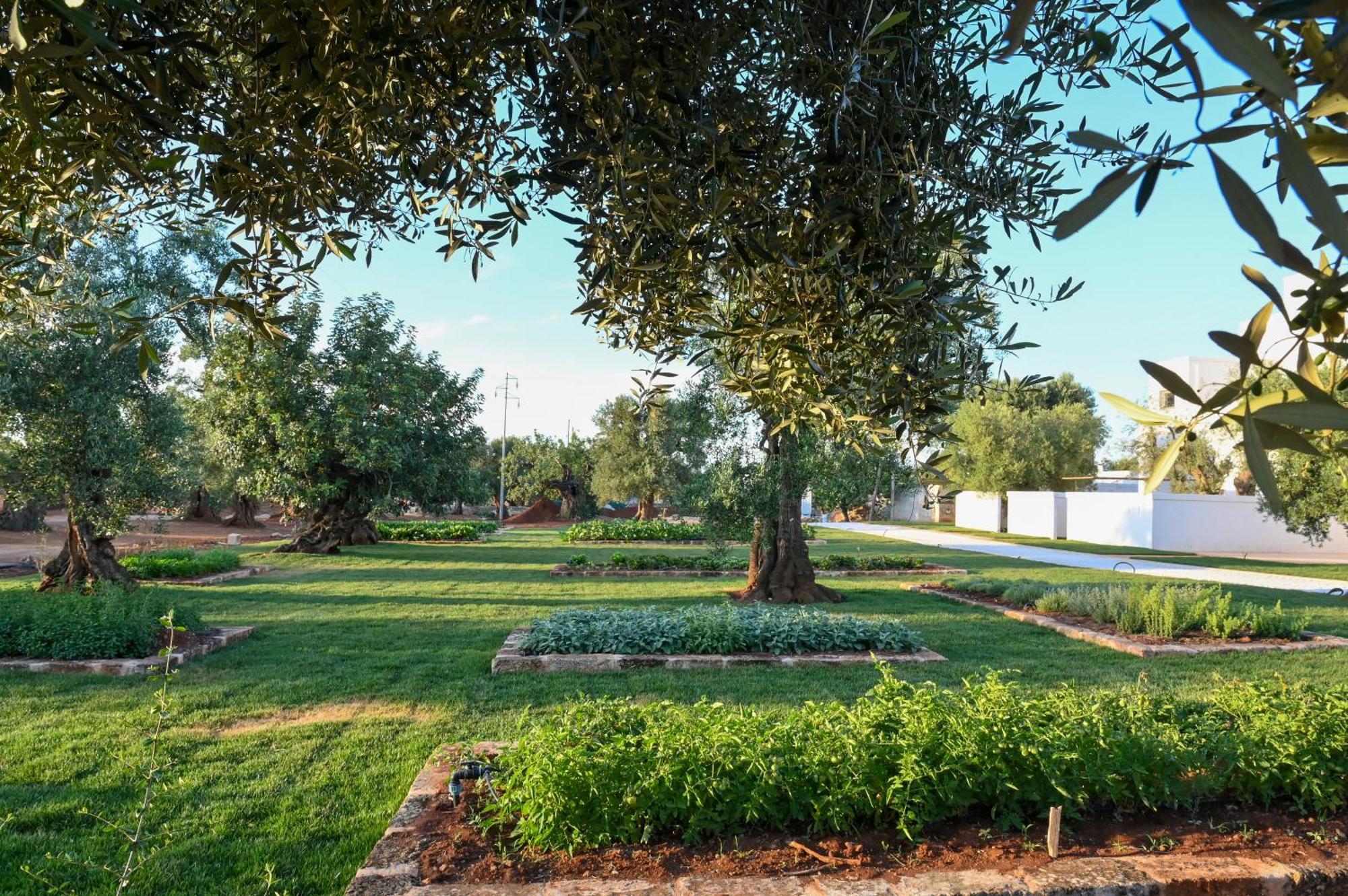 Masseria San Lorenzo Resort ファザーノ エクステリア 写真